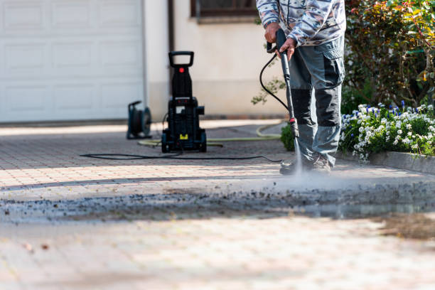 Best Residential Pressure Washing Services  in Ouray, CO